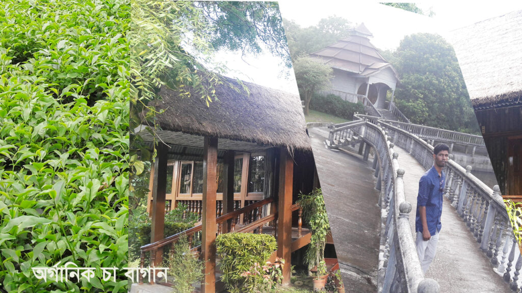 কাজী এন্ড কাজী টি এস্টেট