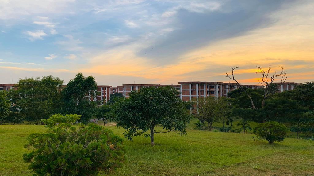 কাফকো
