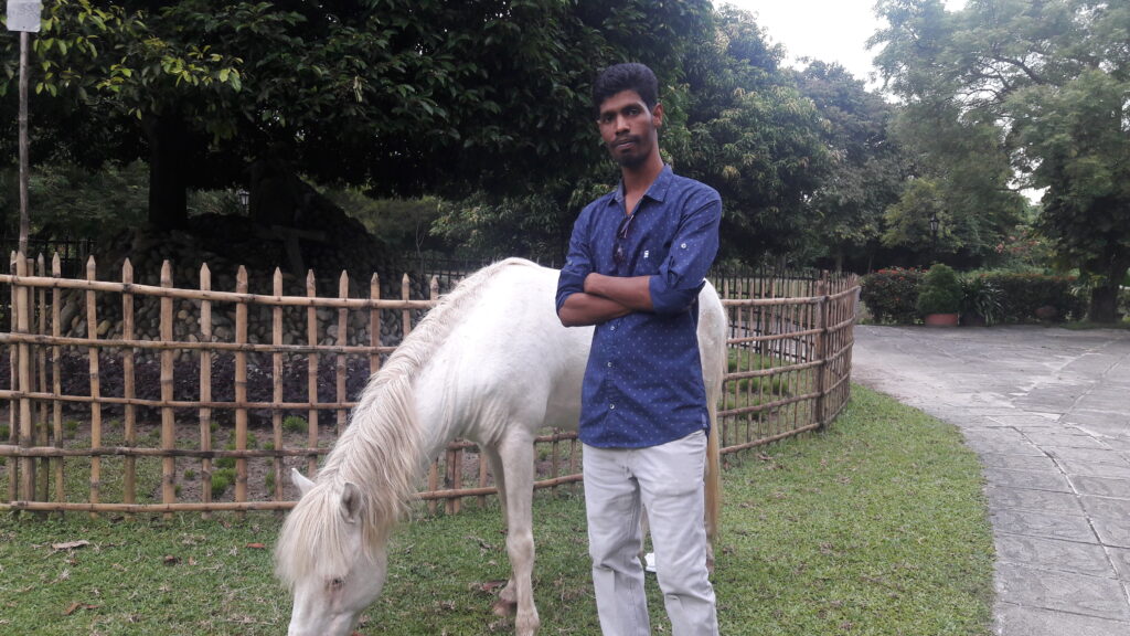 সাদা ঘোড়া, কাজী এন্ড কাজী টি এস্টেট 