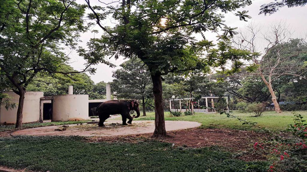 Bangladesh National Zoo