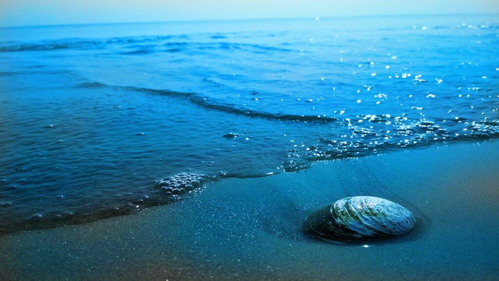 katka sea beach