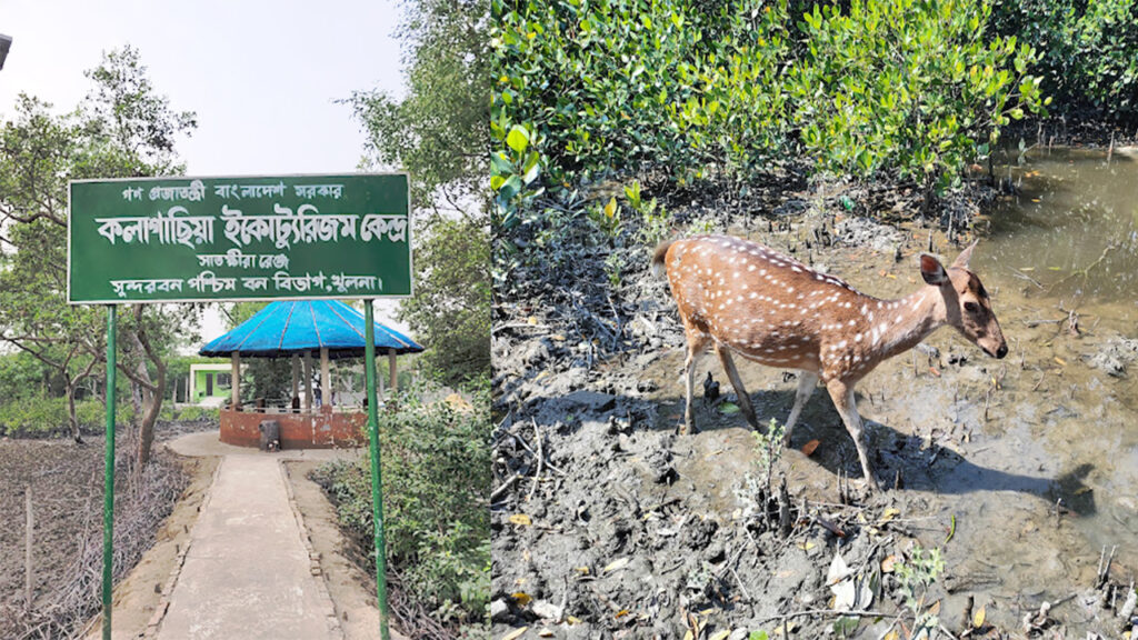 কলাগাছিয়া ইকোট্যুরিজম