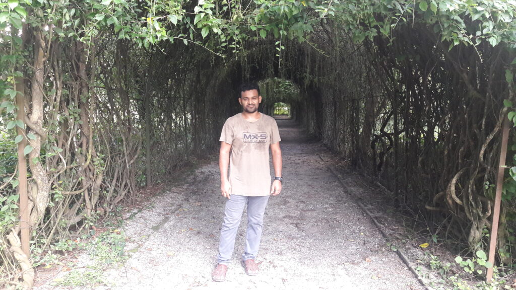 লতাপাতায় মোড়ানো কাজী এন্ড কাজী টি এস্টেট 